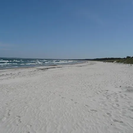 Urlaub In Strandnaehe Und In Idyllischer Lage - Waldidyll Ruegenglueck * Breege